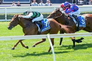ROSEHILL TRIALS GIVE CRUCIAL GUIDE TO SLIPPER CHANCES